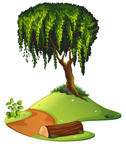 428x490 Nature Scene With Willow Tree