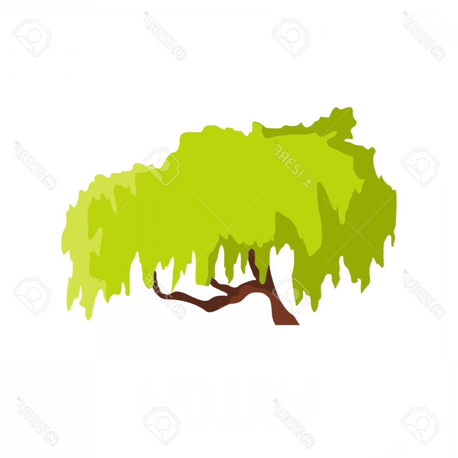 1560x1560 Photostock Vector Willow Tree Icon Flat Illustration Of Willow