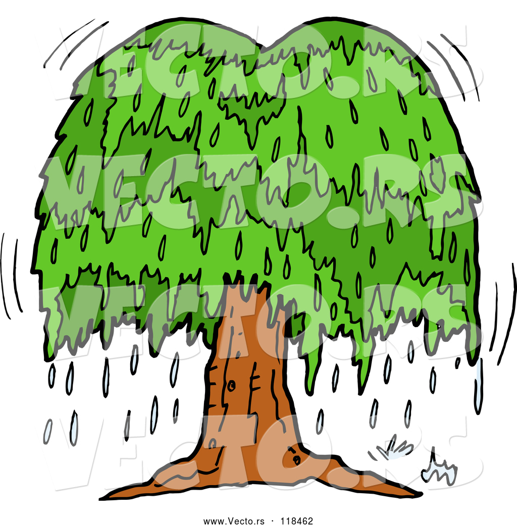 1024x1044 Vector Of Cartoon Weeping Willow Tree With Tears