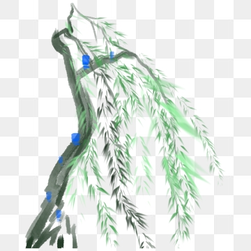 360x360 Willow Tree Png, Vector, And Clipart With Transparent