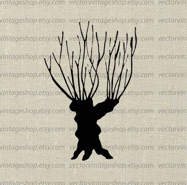 794x789 Willow Tree Vector Clipart Bare Tree Trunk Silhouette Clip Etsy