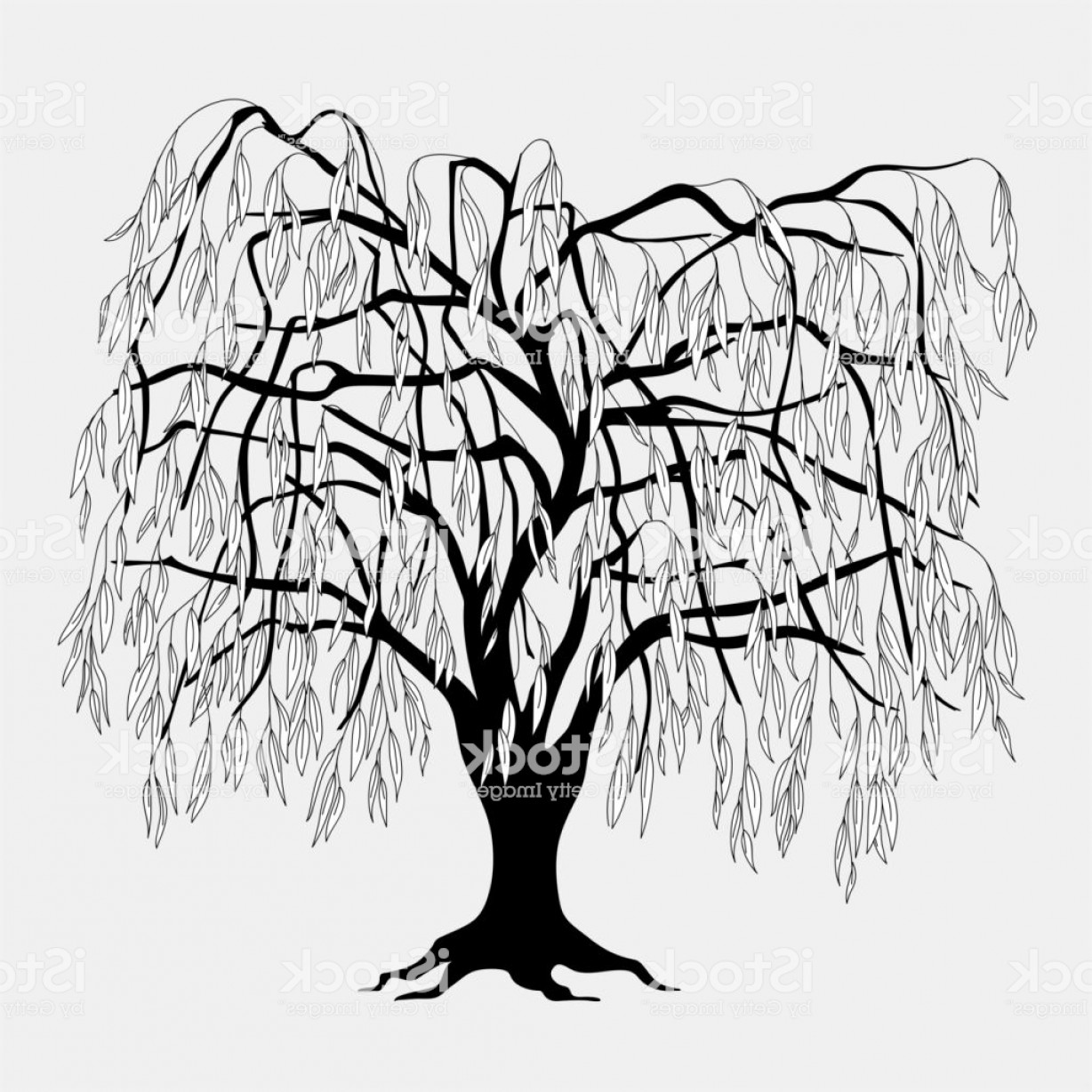 1228x1228 Black Silhouette Willow Tree With Leaves Gm Wallkeeper