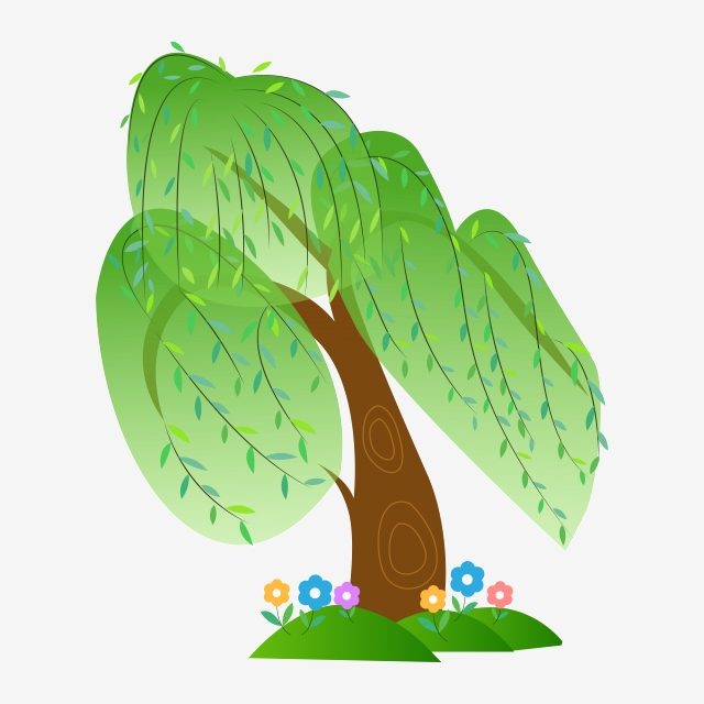 640x640 Vector Cartoon Green Willow Tree, Willow Ink Painting, Willow