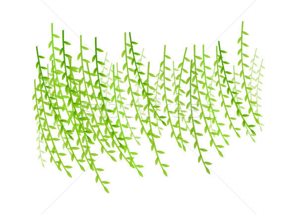 Vector Icon Willow Vector Illustration Sungjoong Kim 600x435 Vector Icon Willow Vector Illustration Sungjoong Kim