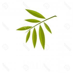 Beautiful Elegant Hand Drawn Willow Tree Twig Vector Wallkeeper 300x300 Beautiful Elegant Hand Drawn Willow Tree Twig Vector Wallkeeper