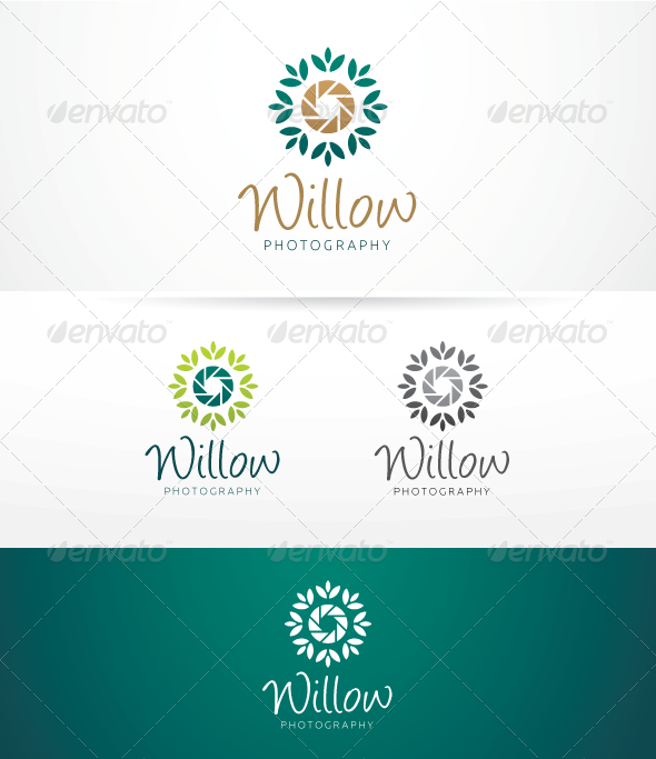 Willow Photography 590x683 Willow Photography