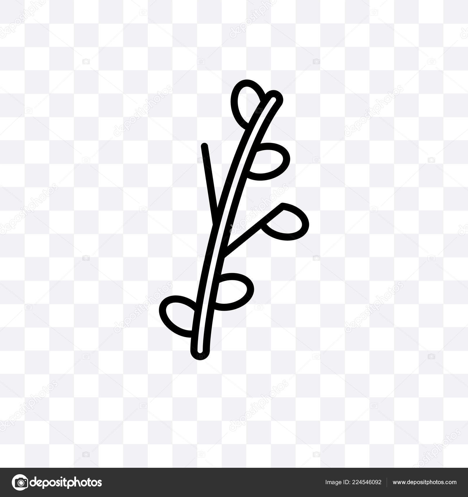 Willow Transparent Background 1600x1700 Willow Transparent Background