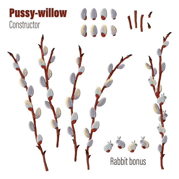 Willow Tree Vector Vectors, Photos And Free Download 626x626 Willow Tree Vector Vectors, Photos And Free Download