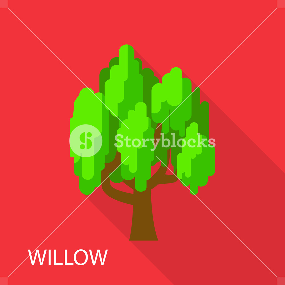 1000x1000 Willow Icon Flat Illustration Of Willow Vector Icon For Web