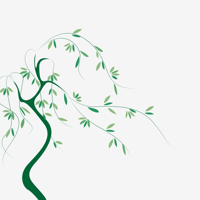 640x640 Green Floating Willow Willow, Vector, Scene, Willow Png