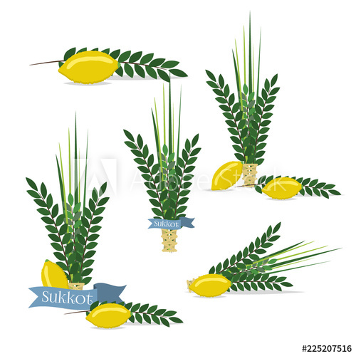 Jewish Festival Of Sukkot Traditional Symbols Judaism Religion 500x500 Jewish Festival Of Sukkot Traditional Symbols Judaism Religion