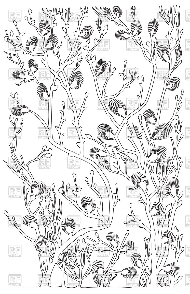 Outline Of Branches Of Willow Vector Image Of Objects 774x1200 Outline Of Branches Of Willow Vector Image Of Objects