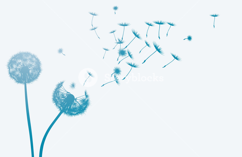 1000x650 Dandelion In The Wind Vector Background Royalty Free Stock Image