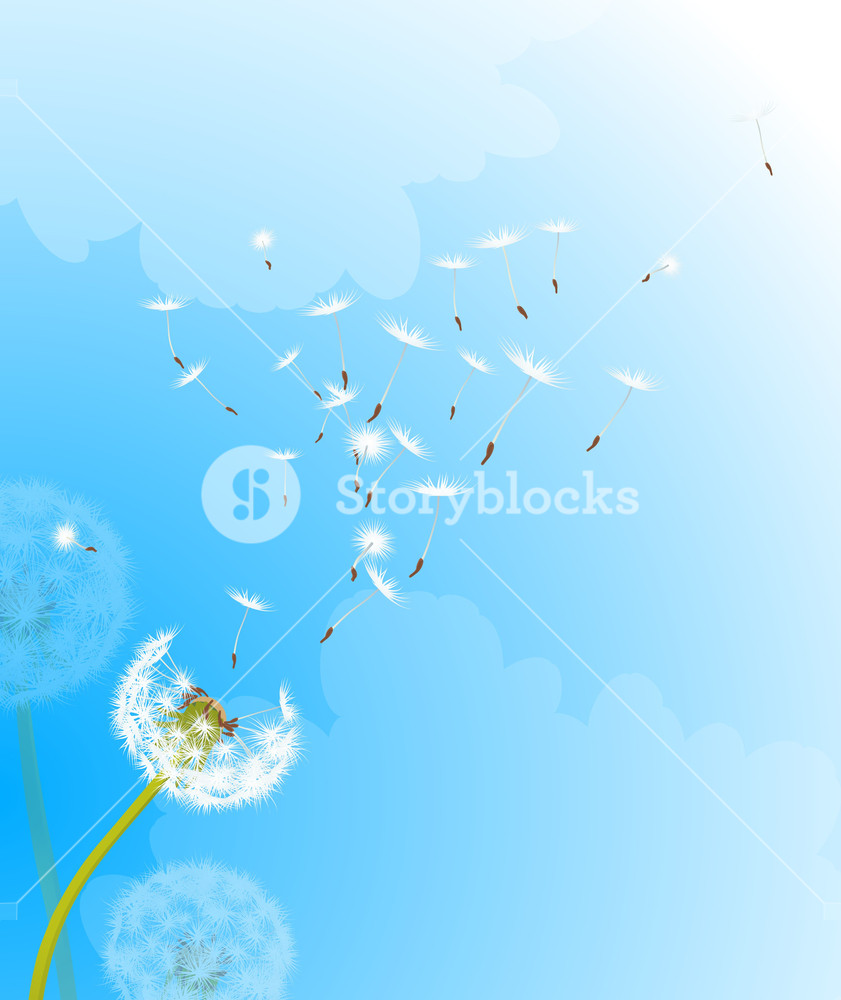 841x1000 Dandelion In The Wind Vector Background Royalty Free Stock Image