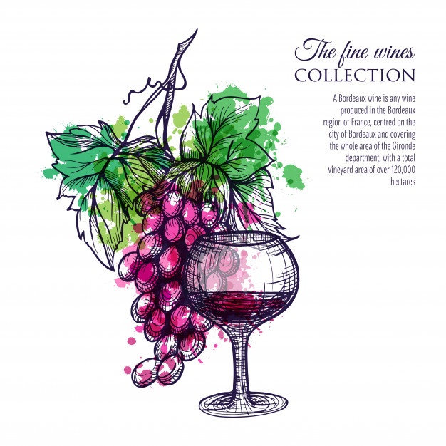 Grapes Vectors, Photos And Free Download 626x626 Grapes Vectors, Photos And Free Download