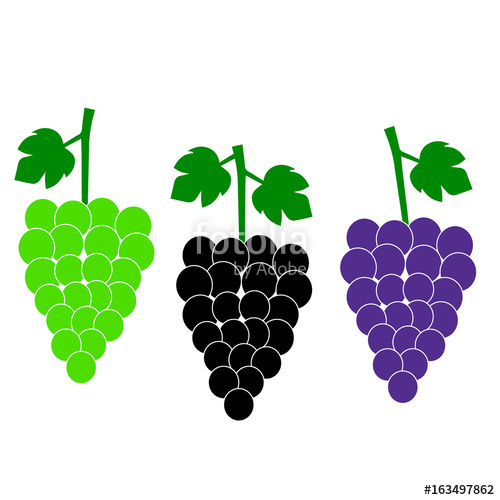 Grapes Vector Isolated Grapes Icon Grapes Logo Grapes Wine 500x500 Grapes Vector Isolated Grapes Icon Grapes Logo Grapes Wine