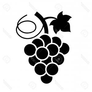 Photostock Vector Bunch Of Grapes Vector Icon Soidergi 300x300 Photostock Vector Bunch Of Grapes Vector Icon Soidergi
