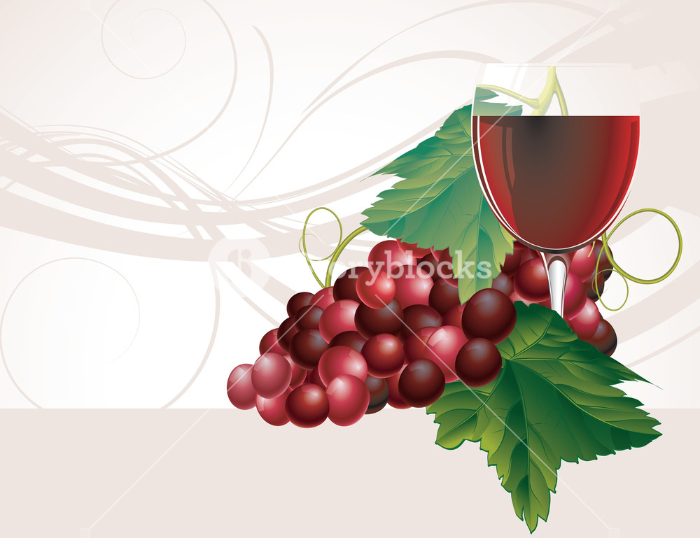 Wine And Grapes Vector Royalty Free Stock Image 1000x769 Wine And Grapes Vector Royalty Free Stock Image