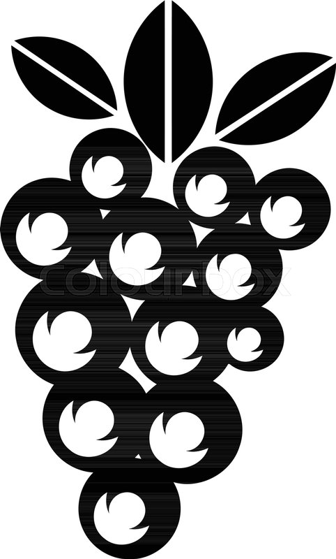 Wine Grape Icon Simple Illustration Stock Vector Colourbox 482x800 Wine Grape Icon Simple Illustration Stock Vector Colourbox