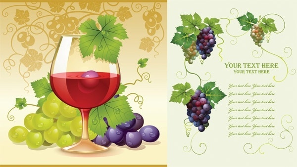 Wine Grapes Vector Free Free Vector Download 600x338 Wine Grapes Vector Free Free Vector Download