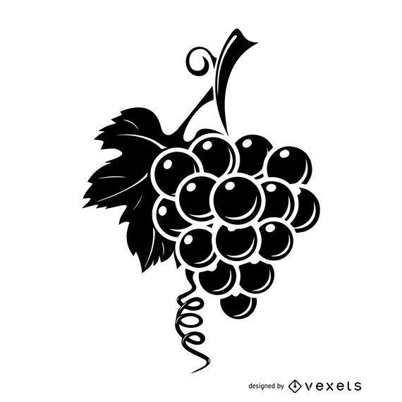 Bunch Of Wine Grapes With Tree Branch 570x570 Bunch Of Wine Grapes With Tree Branch