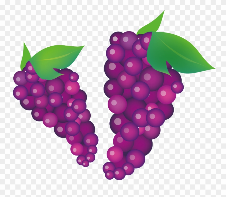 Common Grape Vine Wine Clip Art Autumn 880x769 Common Grape Vine Wine Clip Art Autumn