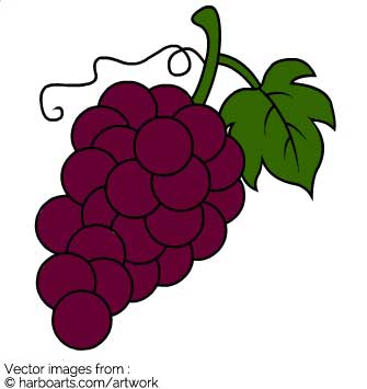 Download Wine Grapes 335x355 Download Wine Grapes