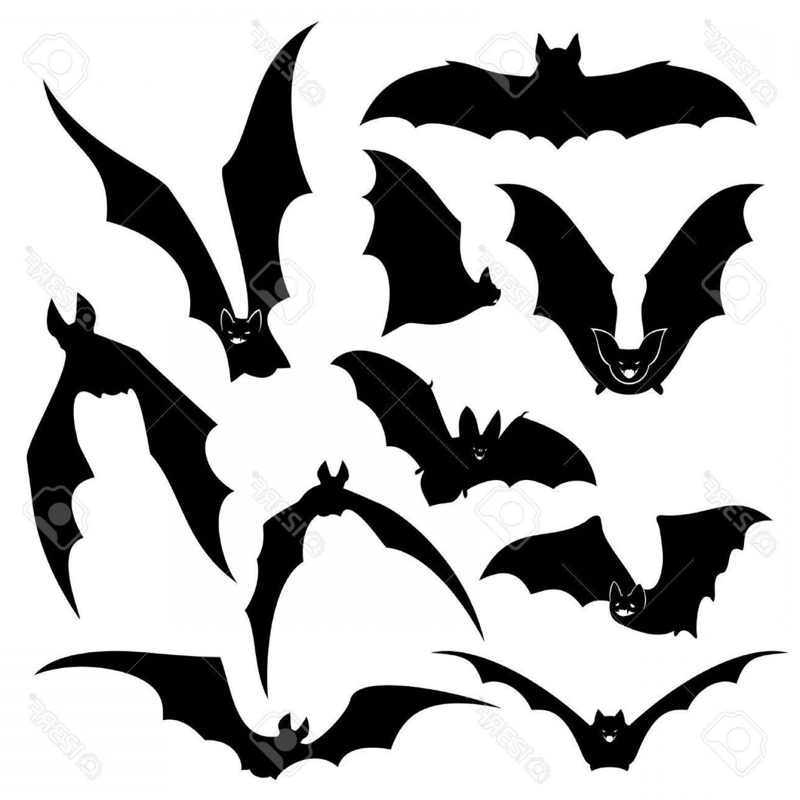 1560x1560 Photostock Vector Black Bats Silhouettes Set Wing And Halloween