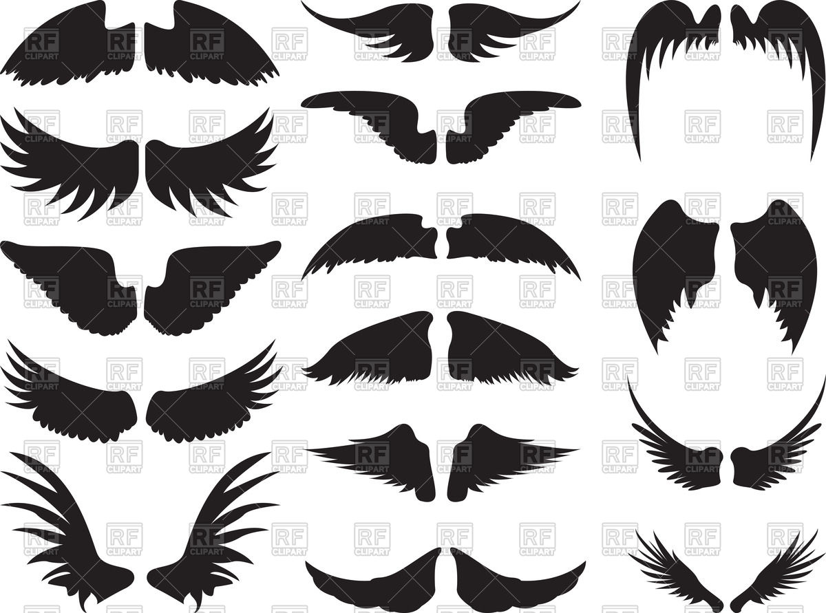 1200x891 Set Of Wings Silhouettes Vector Image Of Silhouettes, Outlines