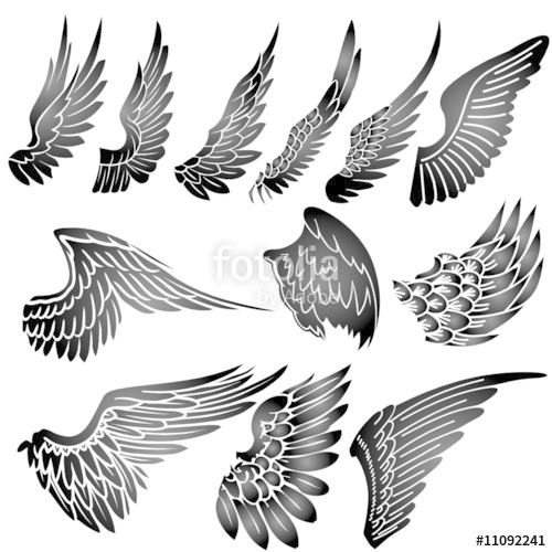 500x500 Wings Silhouette Vector Stock Image And Royalty Free Vector