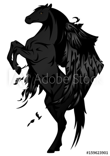 354x500 Pegasus Design