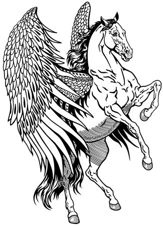 325x450 White Pegasus, Mythological Winged Horse, Black And White