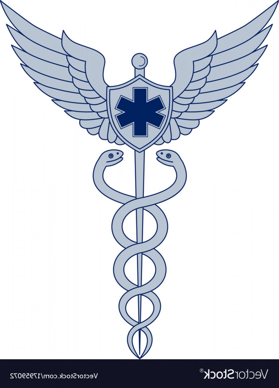 933x1296 Caduceus With Pilot Wings Emt Star Icon Vector Soidergi