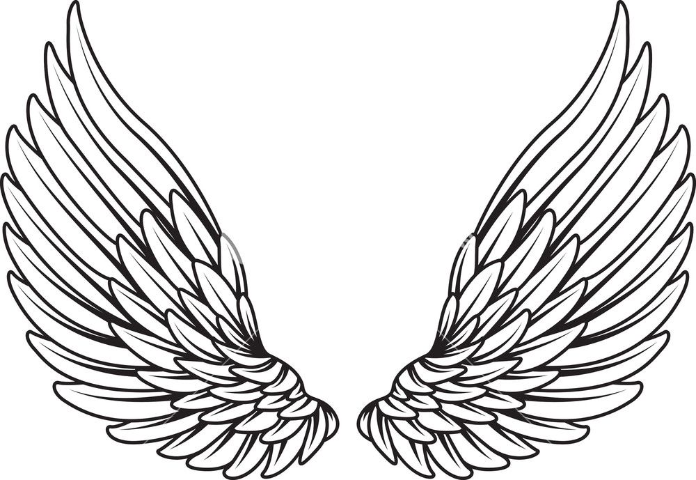 Wings Vector Element Angel Wing Tattoos Angel Wings Drawing 1000x689 Wings Vector Element Angel Wing Tattoos Angel Wings Drawing
