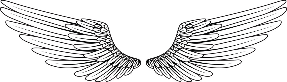 Wings Vector Element Royalty Free Stock Image 1000x288 Wings Vector Element Royalty Free Stock Image