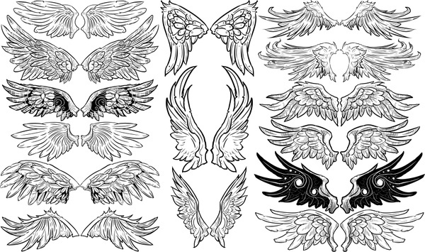 Wings Free Vector Download 600x355 Wings Free Vector Download