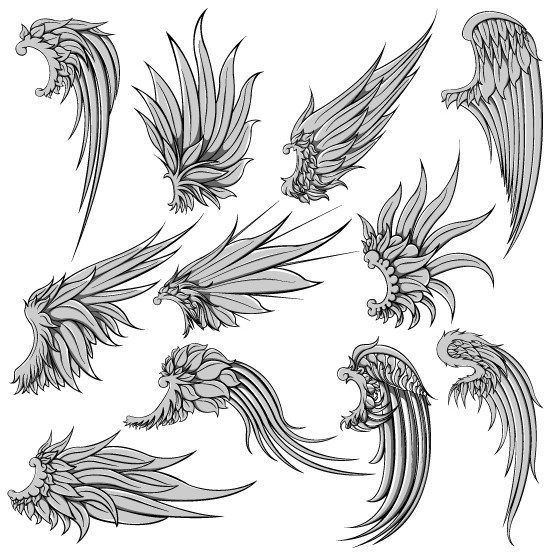 Wings Vector Pack 550x560 Wings Vector Pack