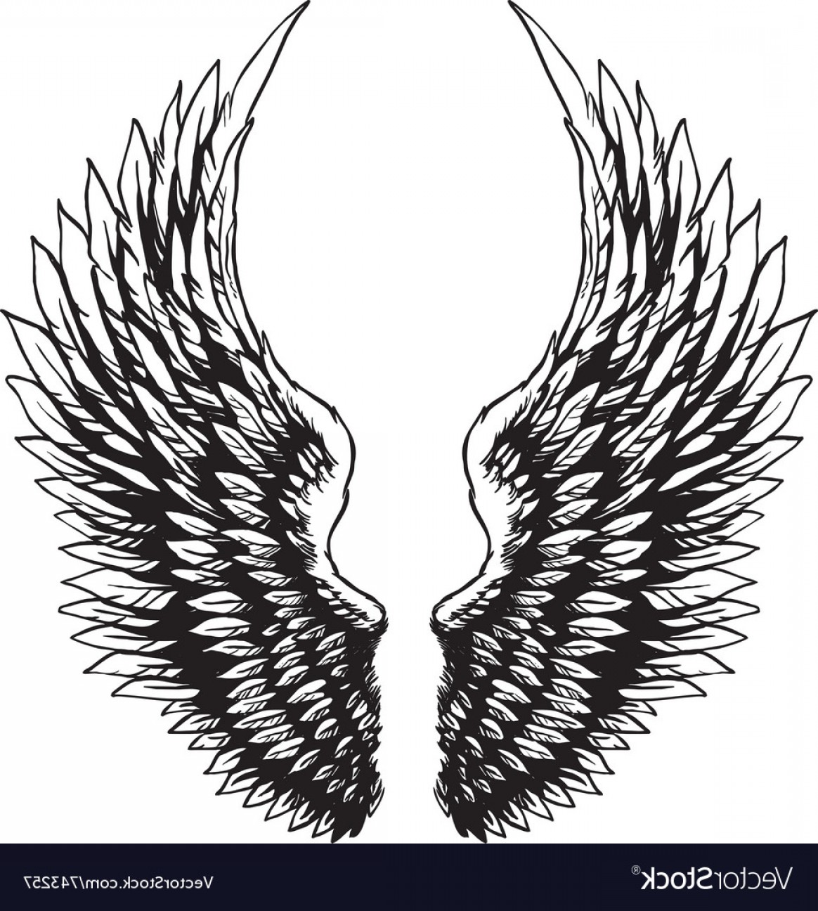 Hand Drawn Eagle Wings Vector Soidergi 1164x1296 Hand Drawn Eagle Wings Vector Soidergi