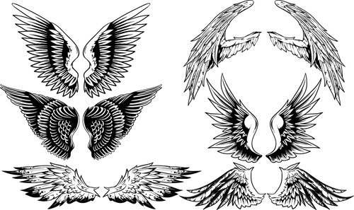 Vintage Wings Badge Vector Free Vector Download 500x297 Vintage Wings Badge Vector Free Vector Download