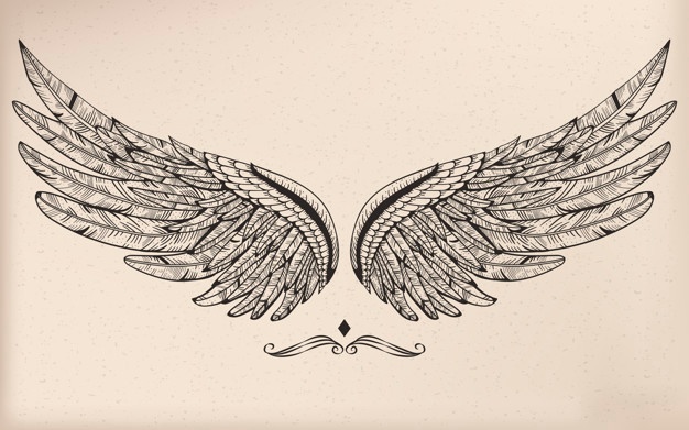 Wings Vectors, Photos And Free Download 626x391 Wings Vectors, Photos And Free Download