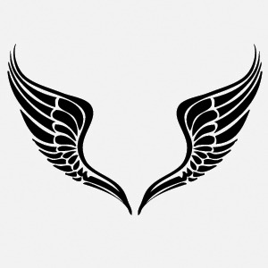 Free Vector Wings Images 300x300 Free Vector Wings Images