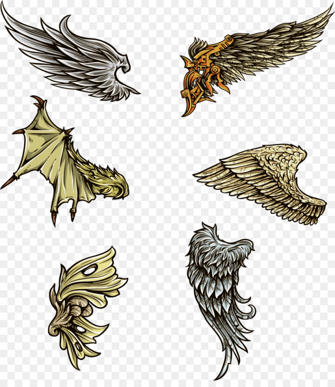 Best Of Eagle Vector Art Png Koolgadgetz 1080x1248 Best Of Eagle Vector Art Png Koolgadgetz