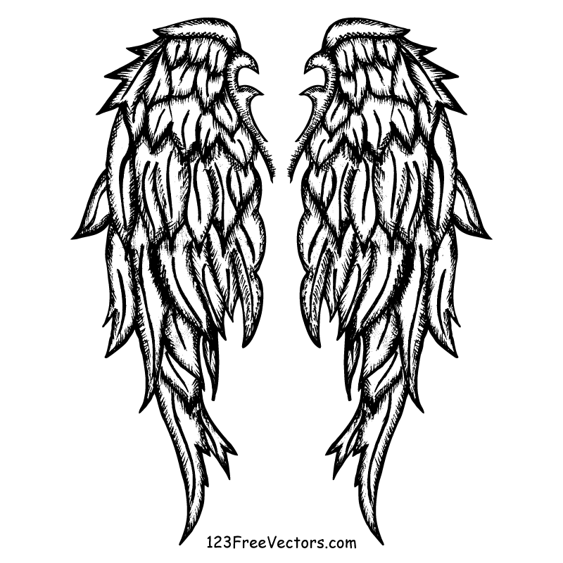 800x800 Free Hand Drawn Angel Wings Vector
