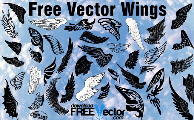 650x402 Free Wings