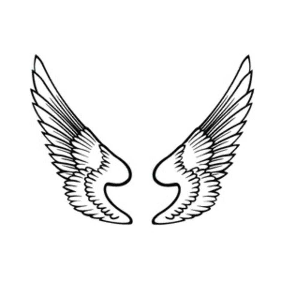936x936 Free Wings Vector Freevectors