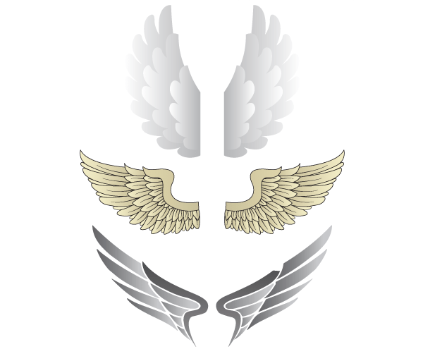600x495 Free Wings Vectors Illustrator