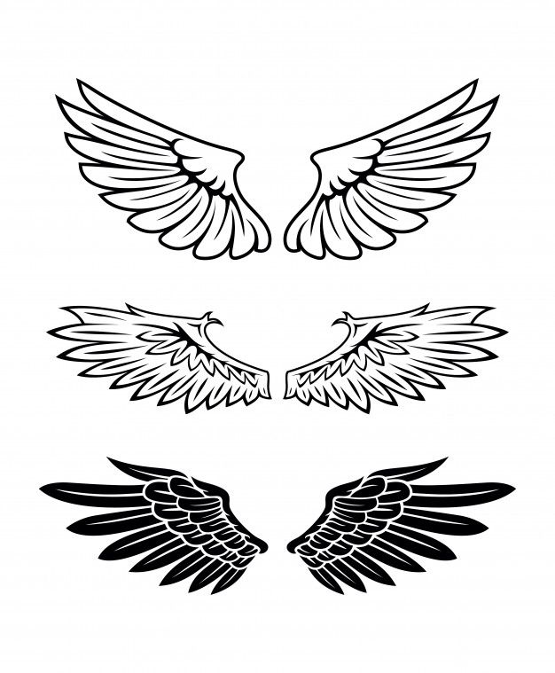 Wings Vector Free at Vectorified.com | Collection of Wings Vector Free ...