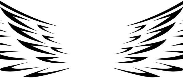 Hd Wing Vector 641x274 Hd Wing Vector