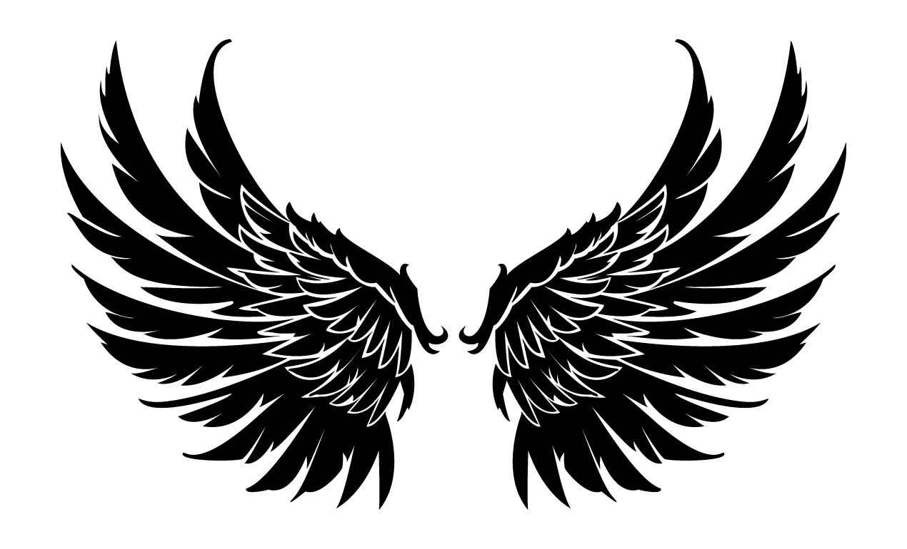 Skull Wing Vector Pack 1270x770 Skull Wing Vector Pack