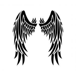 Unique White Angel Wings Vector Drawing Cultracing 300x300 Unique White Angel Wings Vector Drawing Cultracing